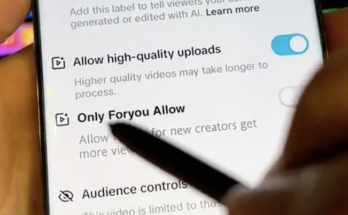 ApkMagi.com Understanding the "Only For You" Allow Option on TikTok - Foryou