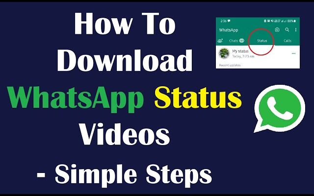 ApkMagi.com How To Download Whatsapp Status Video Just One Click